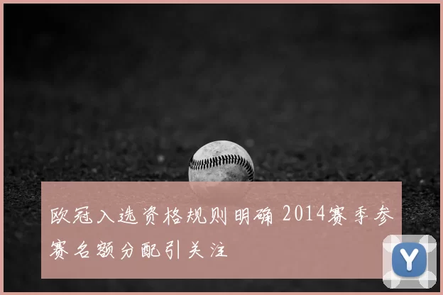 欧冠入选资格规则明确 2014赛季参赛名额分配引关注