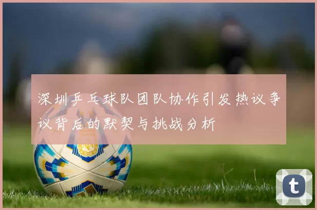 深圳乒乓球队团队协作引发热议争议背后的默契与挑战分析