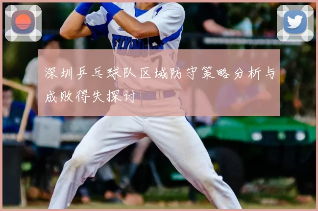 深圳乒乓球队区域防守策略分析与成败得失探讨