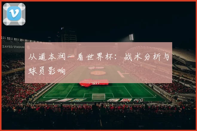 从道本润一看世界杯:战术分析与球员影响