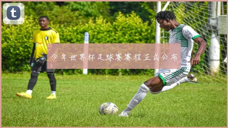 今年世界杯足球赛赛程正式公布