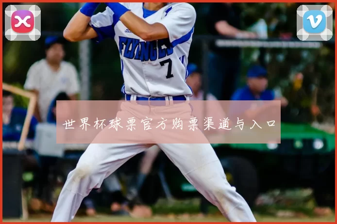 世界杯球票官方购票渠道与入口