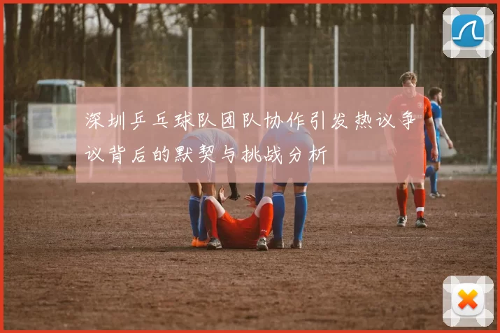 深圳乒乓球队团队协作引发热议争议背后的默契与挑战分析