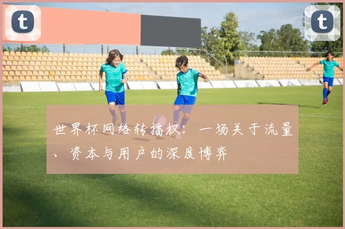 世界杯网络转播权:一场关于流量、资本与用户的深度博弈