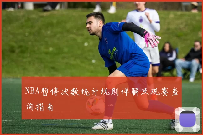 NBA暂停次数统计规则详解及观赛查询指南