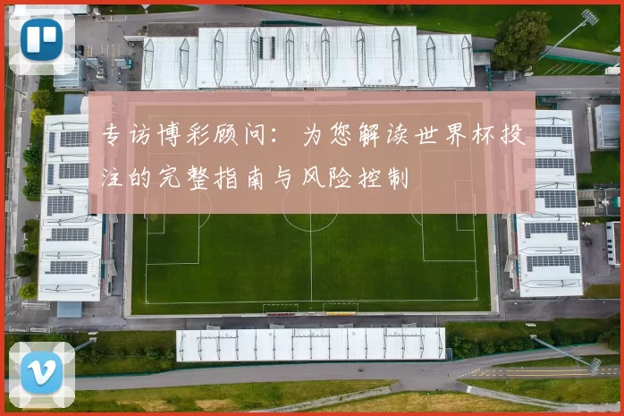 专访博彩顾问：为您解读世界杯投注的完整指南与风险控制