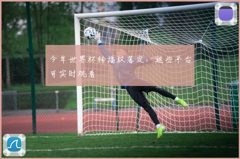 今年世界杯转播权落定,这些平台可实时观看