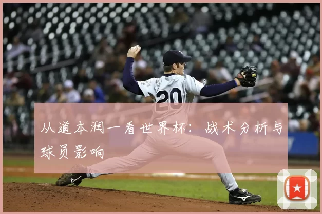 从道本润一看世界杯：战术分析与球员影响
