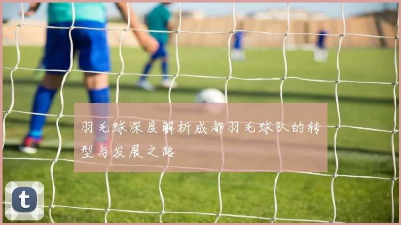 羽毛球深度解析成都羽毛球队的转型与发展之路