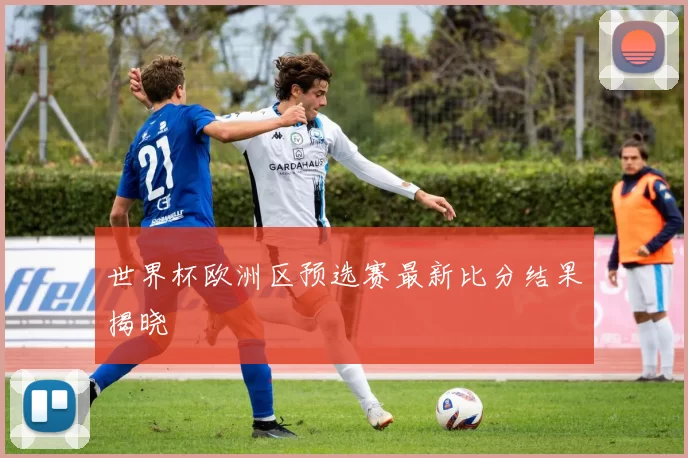 世界杯欧洲区预选赛最新比分结果揭晓