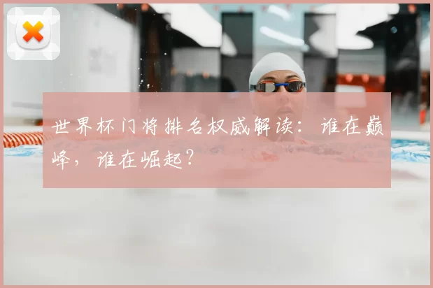世界杯门将排名权威解读：谁在巅峰，谁在崛起？