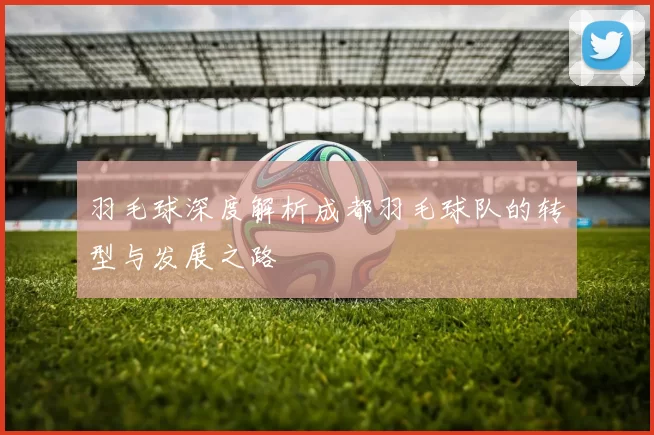 羽毛球深度解析成都羽毛球队的转型与发展之路